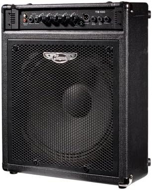 100 Watt Bass Amplifier 1 X 15 Combo