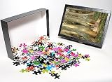 Photo Jigsaw Puzzle of Florida COUGAR / Mountain Lion / Puma from Ardea Wildlife Pets