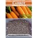 PLUS PACK - 8000+ Seeds-Carrot Danvers Half Long-Veggie