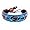 Carolina Panthers
