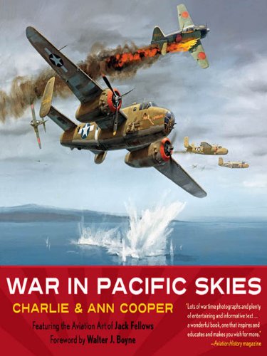 war in pacific skies