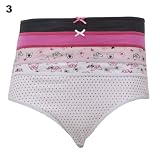 Womens/Ladies Underwear Mini Briefs (Pack of 5) (UK 12/14) (Design 3)