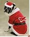 MEDIUM - SANTA PAWS - Pet Holiday Costume