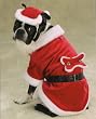 X-LARGE - SANTA PAWS - Pet Holiday Costume