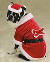 Medium Santa Paws Dog Costume