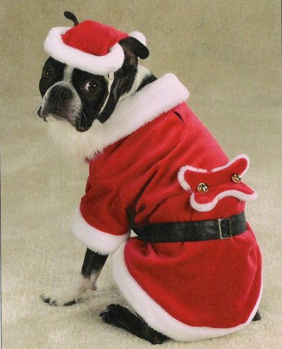 Childrens Toyshop  Pet Supplies : X-LARGE - SANTA PAWS - Pet Holiday Costume