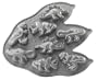 Nordic Ware Pro Cast Dinosaur Cakelette Pan