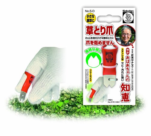 サボテン 草取り爪 2山型 5D