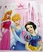 Kitchen & Housewares : disney princess fleece blanket throw