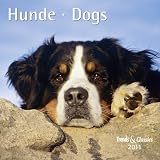 Hunde 2011 Trends & Classics Kalender