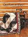 Make a Quilt in a Day Log Cabin Pattern [MAKE A QUILT IN A DAY LOG CABI]