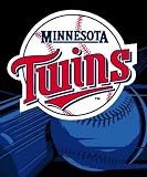 MLB Minnesota Twins Big Stick Raschel Throw Blanket