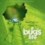 Bug's Life