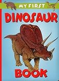 My first dinosaur book