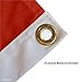 Clemson Tigers Tiger Eyes College Flag