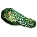 Bird-X GG Gator Guard Floating Alligator Head