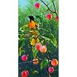 Orchard 500pc Jigsaw Puzzle by M.Hanson