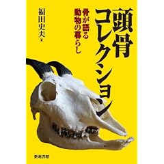 頭骨コレクション――骨が語る動物の暮らし