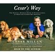 Cesar