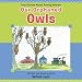 Our Orphaned Owls
