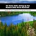 Book The Techie Stuff: Setting Up Your Research Books Online Storefront