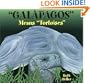"Galapagos" Means "Tortoises"