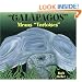 "Galapagos" Means "Tortoises"
