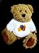 Spielwaren : Teddy Bear mit Concertina, Akkordeon t-shirt