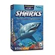 Sharks 2.0 (PC & Mac)