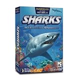 Sharks 2.0 (PC & Mac)