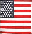 American Flag Bandana