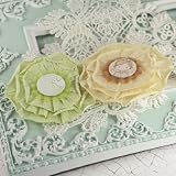 Via Flaminia Tissue Flowers 2/Pkg