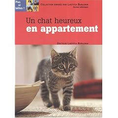 Un chat heureux en appartement