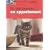 Un chat heureux en appartement