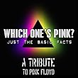 Which One's Pink?