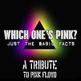 Which One's Pink? Pink Floyd Tribute: Just the basic facts