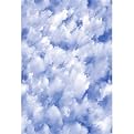 Clouds Window Film