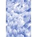 Clouds Window Film