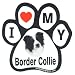 Border Collie Paw Magnet (Black/White, 6in)