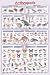ARTHROPODS - 24x36 - ART PRINT / POSTER