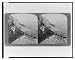 Historic Print (L): Picturesque mountain shore of Sicily, north from ancient Soluntum to Cape Zaffarano