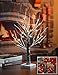 Lightshare™ UPDATE 24L LED Bonsai Snow Tree,+Free Gift:8L LED Poinsettia Artificial Decoration Light,Home/Festival/Party/Christmas,Indoor and Outdoor Use,Warm White
