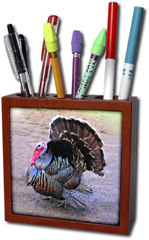 3dRose ph_4042_1 Wild Turkey Tile Pen Holder, 5-Inch