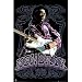 Jimi Hendrix 1969, Purple Music Poster Print - 24x36