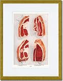 Gold Framed/Matted Print 17x23, Beef: Steak and Sirloin
