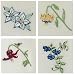 Wildflower Embroidered Cloth Napkins Set of 4