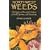Northwest Weeds: The Ugly and Beautiful Villians of Fields, Gardens, and Roadsides
