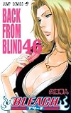 Bleach 46 (in Japanese)
