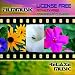 Relaxe  license royalty copyright free indie score Gemafreie Filmmusik