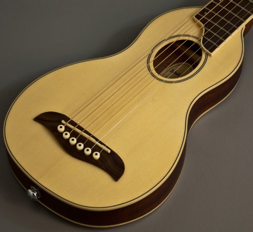 NEW PRO WASHBURN TRAVEL W/CASE RO10